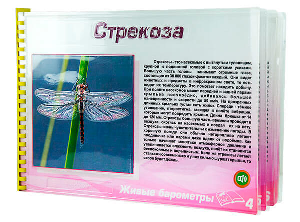 Тактильно-звуковые 3D-пособия