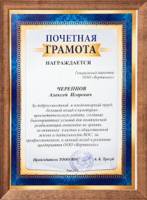 Почётная грамота от председателя ТООО ВОС А.Б. Трегубова