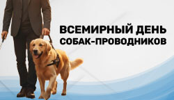 29 апреля – Всемирный день собак-проводников: верные помощники незрячих людей