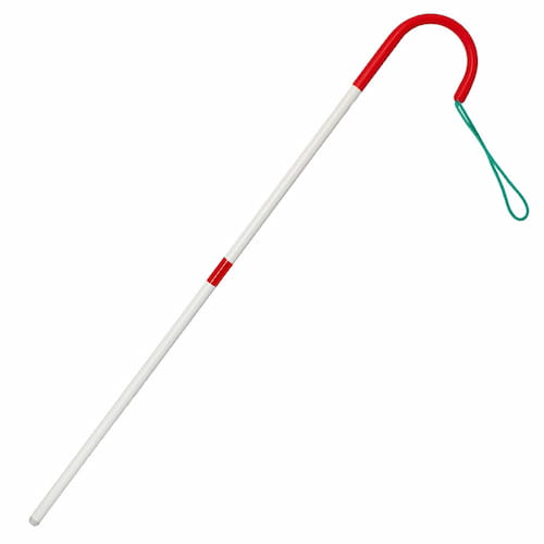 Конструкции тростей: Цельные трости