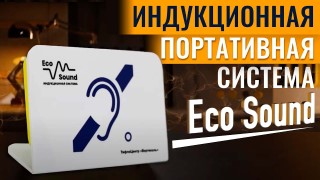  EcoSound. Обзор на портативную индукционную систему