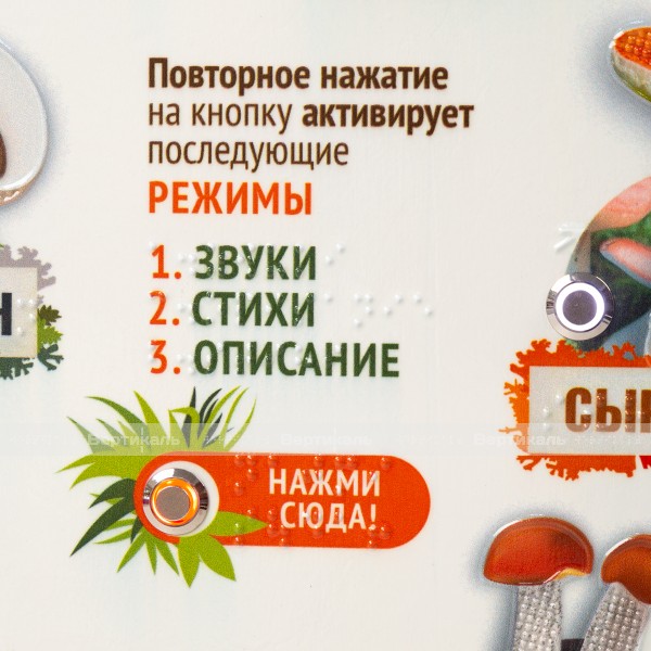 Стенд обучающий, тактильно-звуковой «Грибы», 440x640 мм – фото № 7