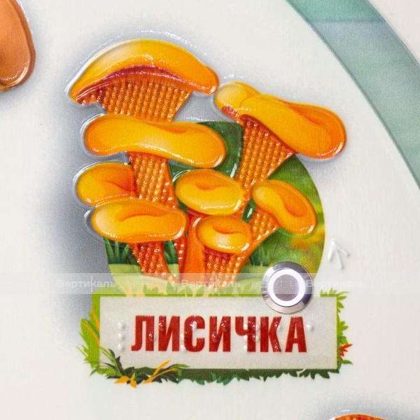 Стенд обучающий, тактильно-звуковой «Грибы», 440x640 мм – фото № 6