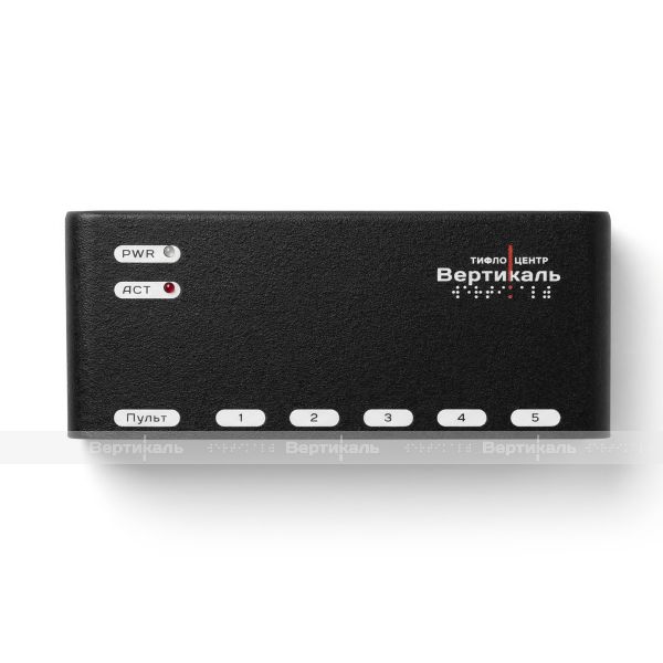 Коммутатор датчиков «Страж» системы оповещения «СурдоЦентр Wi-Fi» черного цвета – фото № 1